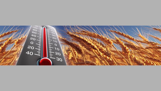 El calor del verano incendia los mercados
