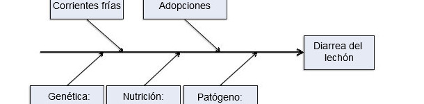 Modelo de cinco factores productivos como causantes de enfermedad.