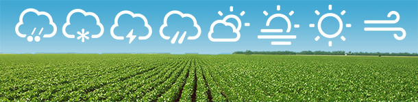 Weather Market