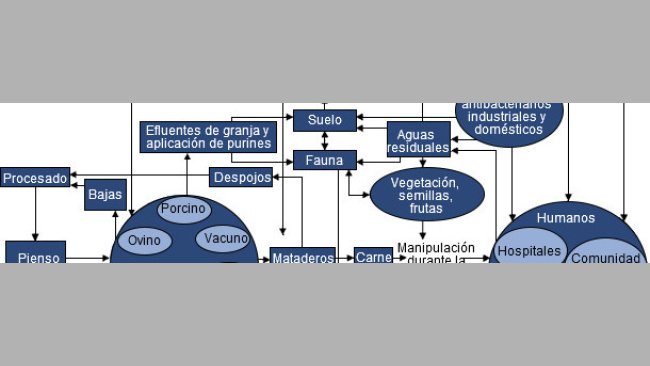 Resistencia antimicrobiana