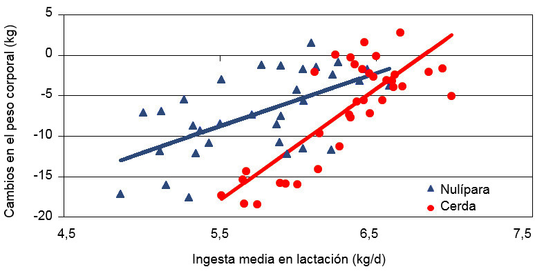 Cambios del peso corporal de las cerdas adultas y primerizas seg&uacute;n la ingestia media durante la lactaci&oacute;n