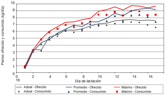 Comparaci&oacute;n entre pienso ofrecido y pienso consumido diariamente para diferentes curvas de alimentaci&oacute;n 