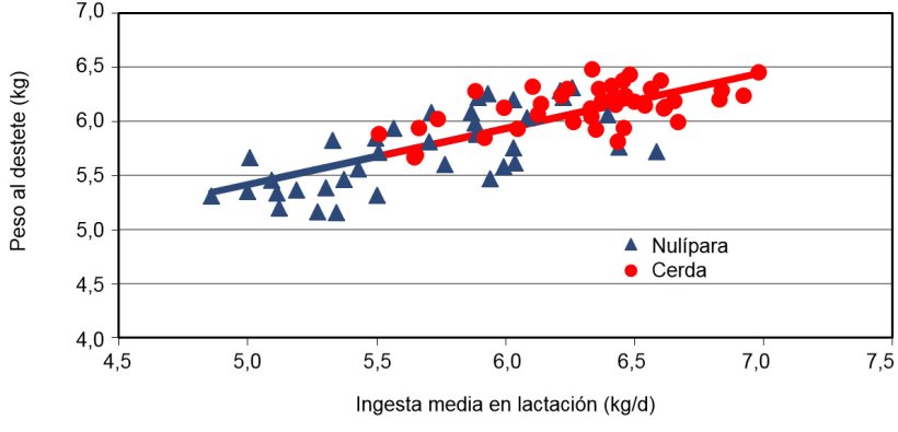 Peso de la camada al destete seg&uacute;n el consumo medio de la cerda en lacataci&oacute;n 