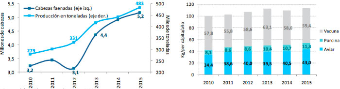 Gr&aacute;fico 4. Evoluci&oacute;n de la producci&oacute;n y faena porcina. Gr&aacute;fico 5. Evoluci&oacute;n del consumo por tipo de carne. Fuente: Informe de Cadena de Valor. Ministerio de Hacienda y Finanzas P&uacute;blicas. Argentina
