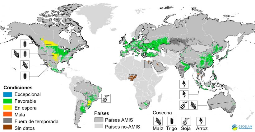 Figura 2. Condiciones de las cosechas en países AMIS (a 28 de marzo). Fuente GEOGLAM