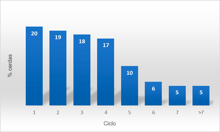 Figura 2. Estructura censal B