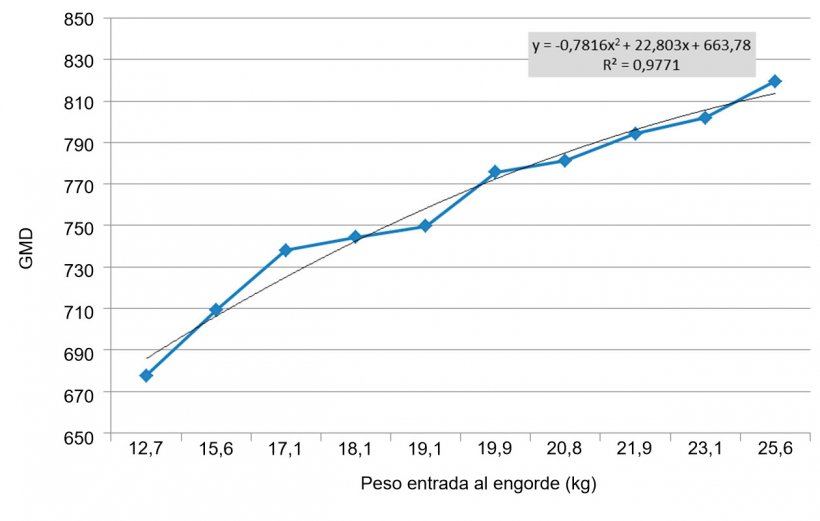 Figura 6. GMD en los 100 primeros d&iacute;as de engorde en funci&oacute;n del peso de entrada. Las diferencias de peso a la entrada del engorde se ensanchan (se multiplican por 2). Cada kg de diferencia de peso a la entrada equivale, aproximadamente, a 11 g de GMD.
