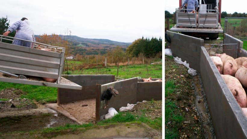 El limite entre la zona limpia y la zona sucia debe ser claro. Esto es particularmente importante en los muelles de carga, tanto de animales como de materiales.
