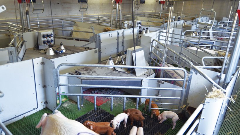 Imagen de la sala en que se est&aacute;n realizado las pruebas con plazas de maternidad libres. Foto: RotecnaPress.
