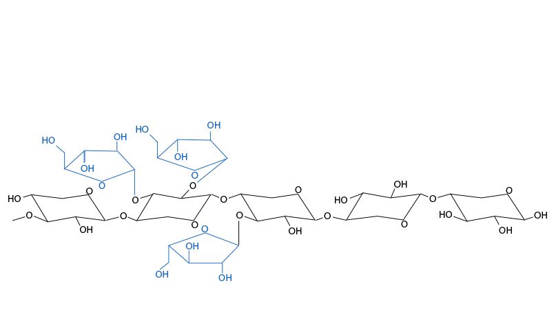 Figura 3. Estructura qu&iacute;mica de los arabinoxilanos. Las ramificaciones de arabinosa y su distribuci&oacute;n var&iacute;an entre cereales y entre variedades de un mismo cereal.
