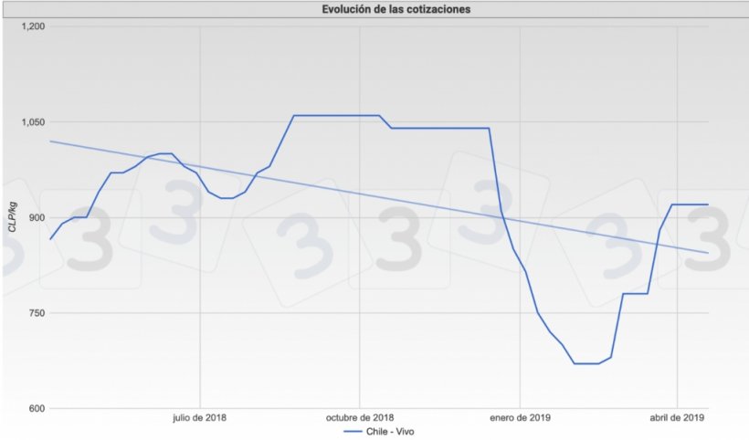 Gr&aacute;fica 3. Evoluci&oacute;n de la cotizaci&oacute;n del cerdo en el mercado en Chile durante los &uacute;ltimos 12 meses.
