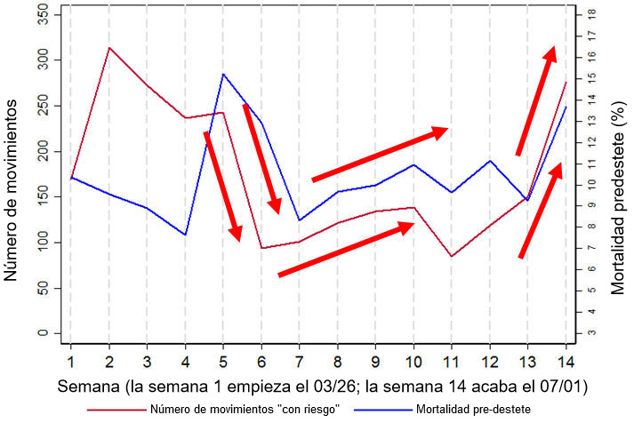 Figura 2. Gr&aacute;fico que muestra la relaci&oacute;n entre la mortalidad pre-destete y el n&uacute;mero de movimientos &quot;de riesgo&quot; (definidos como movimientos hacia/desde los muelles de carga y/o destetes). Estos datos son un subconjunto de los datos recogidos durante 14 semanas en una de las granjas analizadas, la granja 3.
