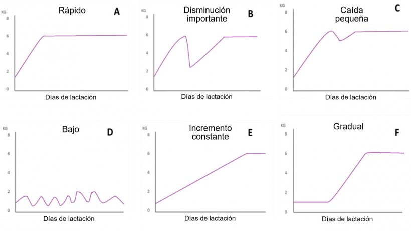 Figura 1. Patrones de alimentaci&oacute;n de cerdas lactantes descritos por Koketsu et al (1996a). A) R&aacute;pido incremento en el consumo; B) disminuci&oacute;n importante; C) peque&ntilde;a ca&iacute;da; D) bajo consumo a lo largo de toda la lactaci&oacute;n; E) bajo consumo la primera semana de lactaci&oacute;n e incremento constante el resto de la lactaci&oacute;n; y F) incremento gradual de consumo.
