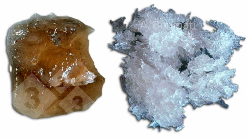 Figura 3. Cristales de sulfato am&oacute;nico obtenidos mediante stripping y absorci&oacute;n de: A) purines de cerdo frescos; B) purines de cerdo digeridos anaer&oacute;bicamente. Fotos gentileza de A. Bonmat&iacute; (IRTA).
