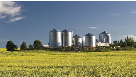 Imagen 2. F&aacute;brica de piensos en Norteam&eacute;rica. Fuente ANACAN.
