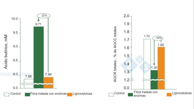 Figura 1. Control = no fibra, Fibra tratada con enzimas = PNA soluble, Lignocelulosa = PNA insoluble. (A) La producción de ácido butírico aumenta un 22% en lechones (15 kg) al fermentar fibra soluble. (B) La fermentación de proteínas se reduce un 19% en lechones (15 kg) al fermentar fibra soluble. AGCC = ácidos grasos de cadena corta, AGCR = ácidos grasos de cadena ramificada.