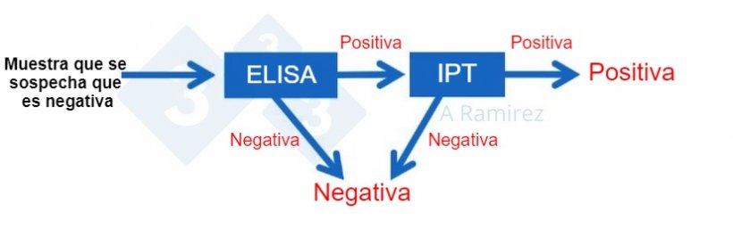 Figura 3. Diagrama que demuestra el uso de PPA IPT&nbsp;como prueba confirmatoria para muestras que salen inesperadamente positivas a PPA&nbsp;mediante ELISA. Una muestra presuntamente negativa que da un resultado negativo en ELISA se considera negativa. Si esta muestra da inesperadamente un resultado positivo, entonces se puede realizar una PPA IPT como prueba confirmatoria. Es decir, si la prueba de IPT es positiva, se confirma que la muestra es positiva. Si la prueba de IPT es negativa, asumiremos que fue un falso positivo siempre que la PCR tambi&eacute;n sea negativa para confirmar que no hay infecci&oacute;n reciente.
