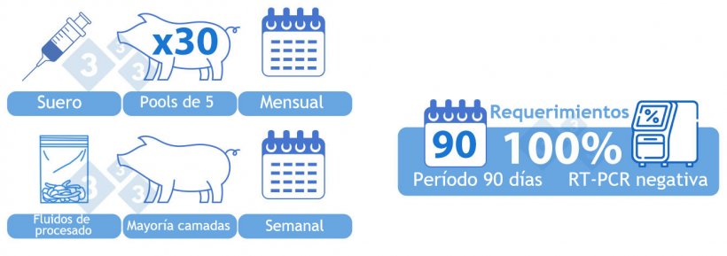 Positiva estable (II). OPCI&Oacute;N 2) Combinaci&oacute;n de suero y fluidos del procesado. Suero de 30 lechones al destete analizados mensualmente en &ldquo;pooles&rdquo; de cinco. Una muestra agregada de fluidos del procesado analizados semanalmente mediante RT-PCR. La mayor&iacute;a de las camadas procesadas durante la semana deben estar representadas en la muestra. Todas las muestras deben ser negativas durante un per&iacute;odo de 90 d&iacute;as para alcanzar la categor&iacute;a.
