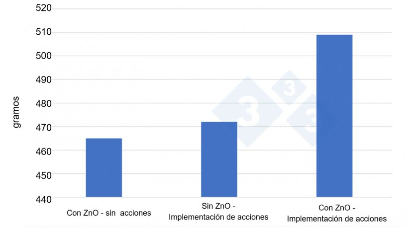 Figura 2. Ganancia diaria promedio obtenida en 3 pruebas&nbsp;de 6 meses cada una, de abril de 2020 a septiembre de 2021, con 12.000 - 12.500 lechones por ensayo en diferentes condiciones (ZnO sin otras acciones, sin ZnO pero con nuevas estrategias de alimentaci&oacute;n e iniciativas en higiene y manejo&nbsp;y ZnO combinado con nuevas estrategias). Fuente: productor de cerdos dan&eacute;s Anders Rold, participante en el proyecto SEGES / Vilomix.
