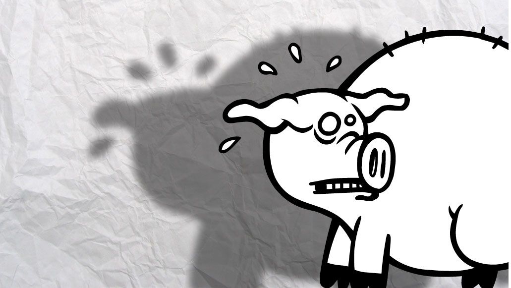 Mordeduras de cola