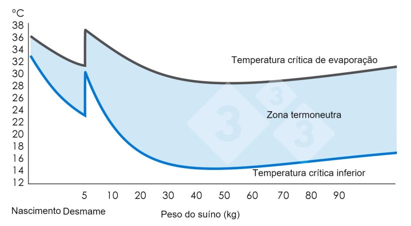 Gráfico 1. Zona de termoneutralidade ou conforto térmico (onde o suíno se sente confortável). Ministério da Agricultura, Pescas e Alimentação (1983). Grã-Bretanha: MAFF. (Volume 2410).