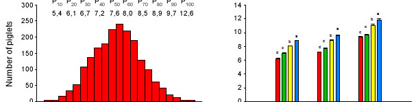 Distribution of the LW of the piglets at the end of the lactation period during 6 consecutive weaning batches (A), and initial classification and evolution of the LW along the pre-starter stage (B).