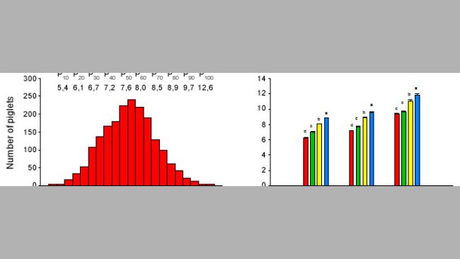 Distribution of the LW of the piglets at the end of the lactation period during 6 consecutive weaning batches (A), and initial classification and evolution of the LW along the pre-starter stage (B).