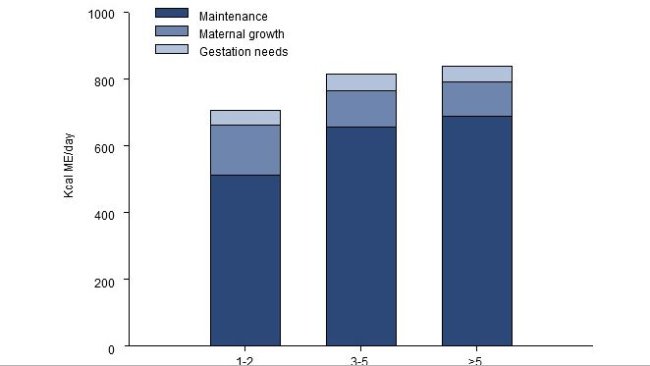 Distribution of the energy needs (ME, kcal / day) during the last 2.5 months of gestation for a young, adult or old sow.