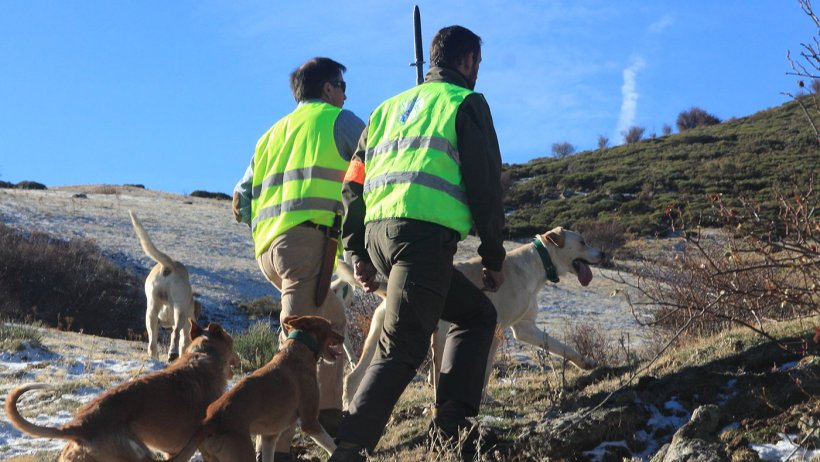 Photo 5: Hunting is necessary, but dogs should not have access to the farm.