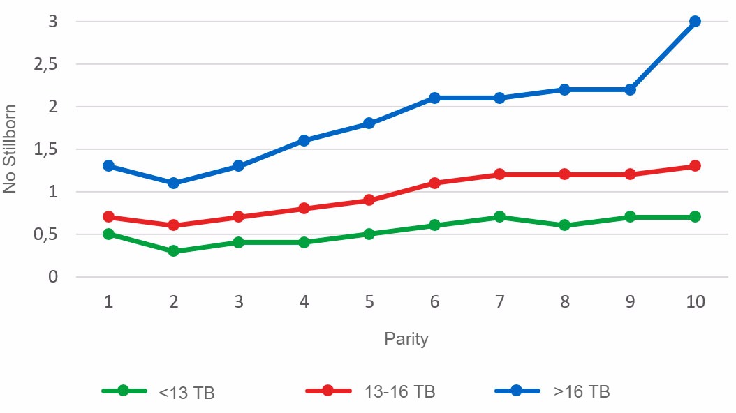 Graph&nbsp;3: Average number of stillborn piglets according to parity&nbsp;for litters of less than 13, between 13 and 16&nbsp;or more than 16 Total Born piglets.&nbsp;Analysis of&nbsp;93.896 farrowings&nbsp;from hyperprolific sows recorded from&nbsp;October 14 to September 16
