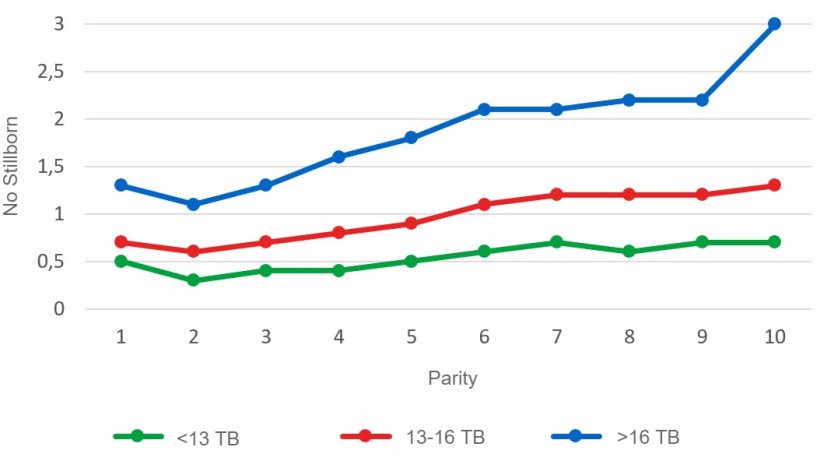 Graph 3: Average number of stillborn piglets according to parity for litters of less than 13, between 13 and 16 or more than 16 Total Born piglets. Analysis of 93.896 farrowings from hyperprolific sows recorded from October 14 to September 16