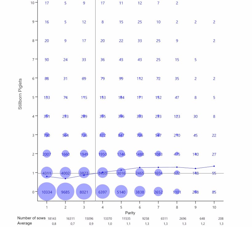 Graph 2: Average stillborn per parity. Analysis of 93.896 farrowings from hyperprolific sows recorded from October 14 to September 16