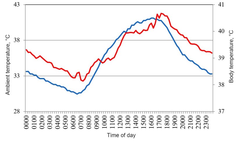Figure 1. Variations in body temperature (red) of pigs housed under conditions of heat stress, in response to changes in environment temperature (blue) during a typical day in the summer of 2015 in the Mexicali valley (Cervantes et al., 2017 ).