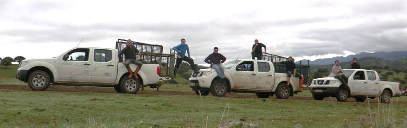 Photo 2. Captures with boxes or traps are an option in areas where boar hunting is not possible, but they are expensive and not always effective.