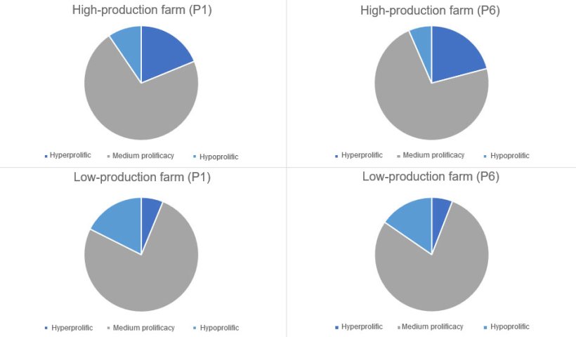 Figure 1. Distribution of the kind of sows, in parity 1 and 6 categorised by the kind of farms considered