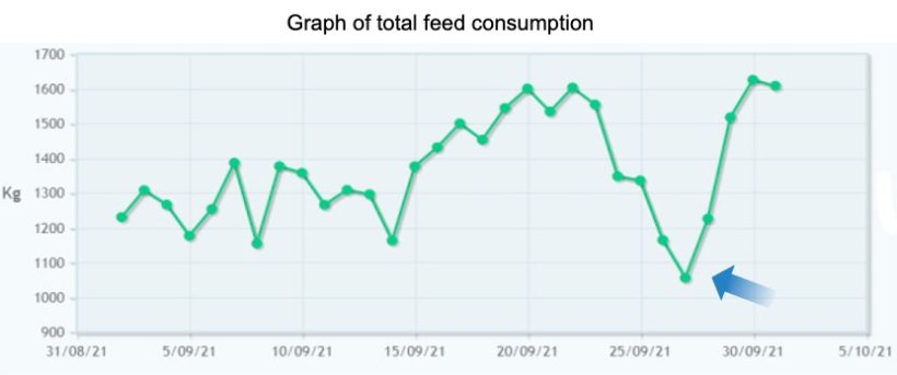 Figure 5: Decrease in consumption observed on the farm before the appearance of symptoms of respiratory problems. Early detection of the problem allowed for a better treatment outcome.