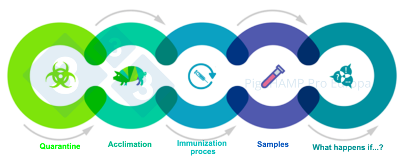 Figure 1. Key interconnected aspects that should be understood prior to the visit.