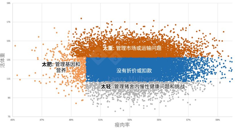 图1:屠宰数据联通营养、健康、种源等多维信息,既可精准溯源变异成因,亦能生成可落地的纠偏举措。
