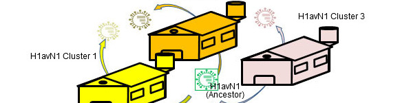 Betriebsbezogene genetische und antigenische Heterogenit&auml;t
