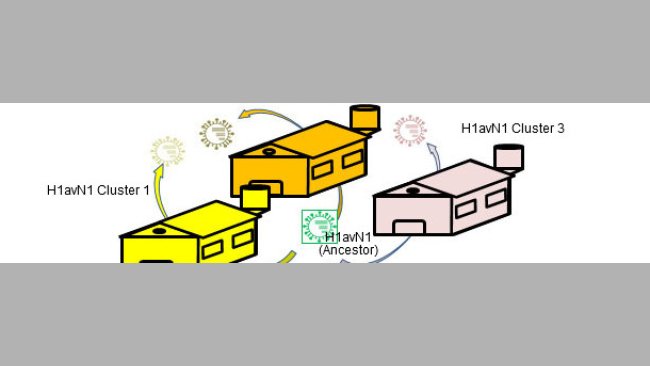 Betriebsbezogene genetische und antigenische Heterogenität