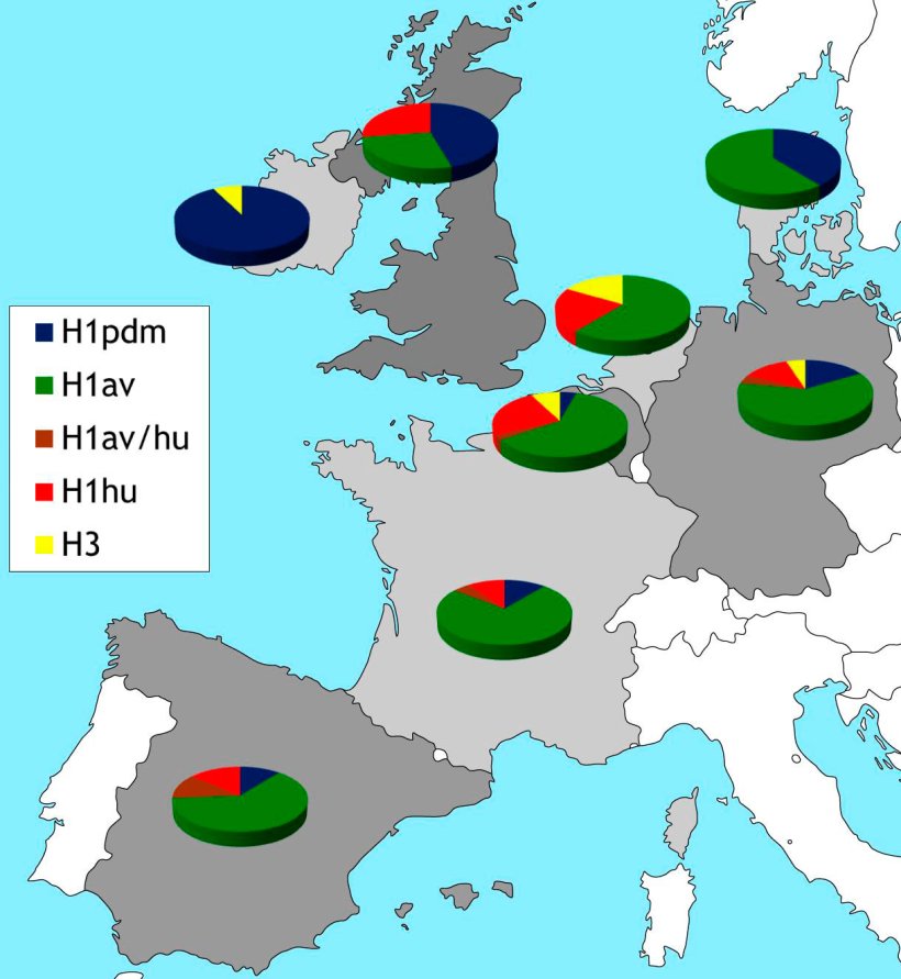 Abbildung 2: Geographische Beschr&auml;nkung der HA-Subtypen porziner Influenzaviren, die derzeit in Europa zirkulieren. Die Daten beruhen auf Literaturhinweisen und unseren eigenen Studien passiver &Uuml;berwachung, mit denen 2015 begonnen wurde.
