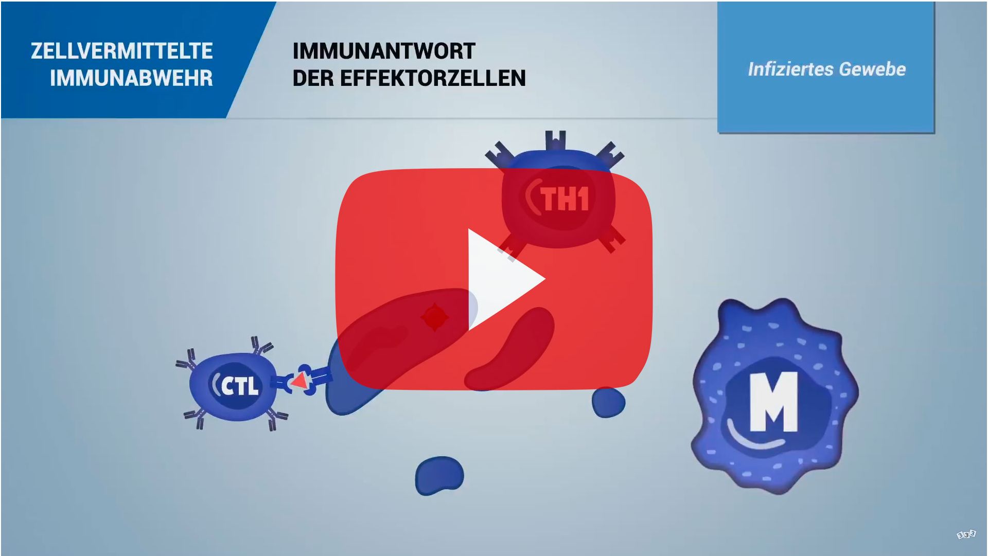 Zellvermittelte Immunabwehr