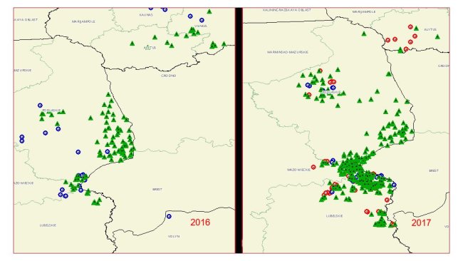 Ausbreitung der ASP in Polen (Quelle: OIE)