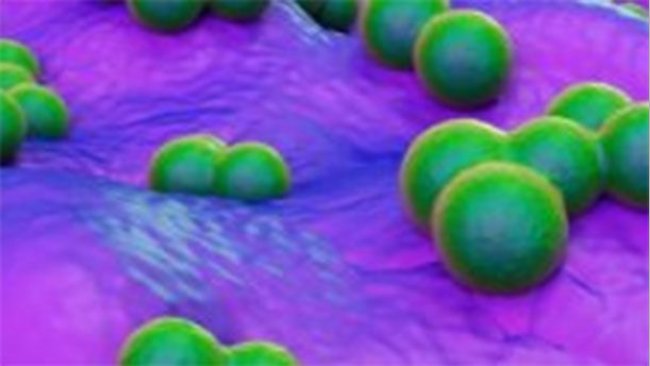 Antibiotikaresistenz
