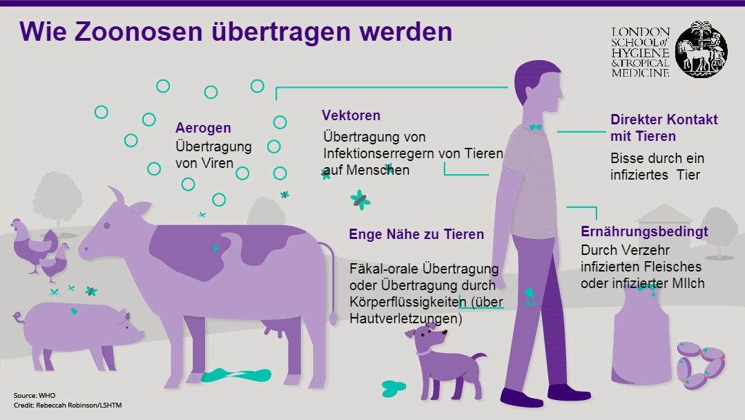 Abbildung&nbsp;1. &Uuml;bertragungswege von Zoonosen.&nbsp;Zoonosen sind Infektionskrankheiten, die vom Tier auf den Menschen, aber auch vom Menschen auf das Tier &uuml;bertragen werden k&ouml;nnen.&nbsp;Quelle: London School of Hygiene and Tropical Medicine.
