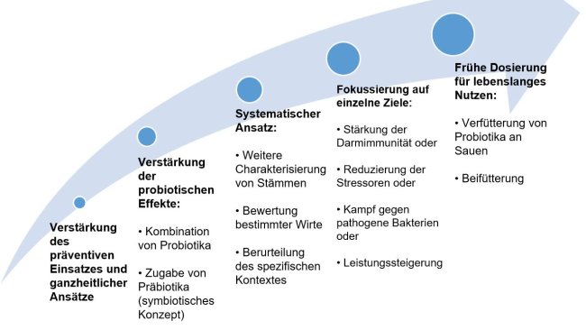Abbildung 2: Strategien zur Verbesserung des Einsatzes von Probiotika in frühen Lebensphasen
