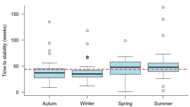 Abbildung 1: Zeit bis zur PRRS-Stabilität, die je nach Jahreszeit festgestellt wurde, in welcher der Ausbruch auftrat. Die gestrichelte Linie stellt den Gesamtmittelwert (43,9 Wochen) dar. Jede Box repräsentiert 50 % der Daten (Perzentile 25 - 75) und die schwarze Linie innerhalb der Box stellt den Median (Perzentil 50) dar, so dass die Hälfte der Ausbrüche in der jeweiligen Jahreszeit eine TTS über dieser Linie und die andere Hälfte der Ausbrüche eine TTS unterhalb dieser Linie hatte.