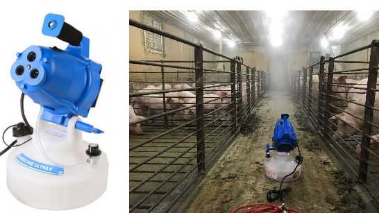 Abbildung 2: Aerosolexposition von Jungsauen mit Mycoplasma hyopneumoniae.
