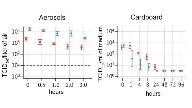 Der Titer des aerosolisierten lebensf&auml;higen Virus wird als TCID50 (notwendige Dosis, um in 50 % der Zellkulturen eine Infektion auszul&ouml;sen) pro Liter Luft angegeben. Viren wurden auf Kupfer, Pappe, Edelstahl und Kunststoff aufgetragen, die 7 Tage lang bei 21 bis 23 &deg;C und 40 % relativer Luftfeuchtigkeit gehalten wurden. Der Titer des lebensf&auml;higen Virus wird als TCID50 pro Milliliter Sammelmedium ausgedr&uuml;ckt. Alle Proben wurden durch Endpunkttitration an Vero-E6-Zellen quantifiziert. Plots zeigen die Mittelwerte und Standardfehler (Balken) bei drei Wiederholungen an.
