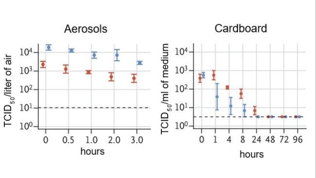 Der Titer des aerosolisierten lebensfähigen Virus wird als TCID50 (notwendige Dosis, um in 50 % der Zellkulturen eine Infektion auszulösen) pro Liter Luft angegeben. Viren wurden auf Kupfer, Pappe, Edelstahl und Kunststoff aufgetragen, die 7 Tage lang bei 21 bis 23 °C und 40 % relativer Luftfeuchtigkeit gehalten wurden. Der Titer des lebensfähigen Virus wird als TCID50 pro Milliliter Sammelmedium ausgedrückt. Alle Proben wurden durch Endpunkttitration an Vero-E6-Zellen quantifiziert. Plots zeigen die Mittelwerte und Standardfehler (Balken) bei drei Wiederholungen an.